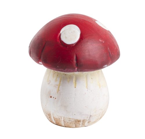 K.GRZYB KROPECZKOWY CZER   5,9