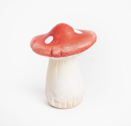 K.GRZYB KROPECZKOWY POMA   6,3