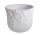 BET.KASPO WINOGR.FE. 18*15