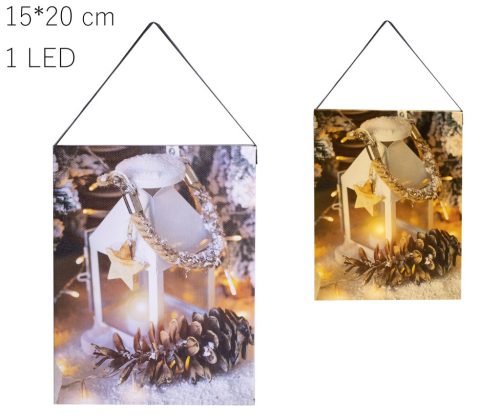 OBRAZ+1LED BED.DO DRZWI+SNOWM30*40