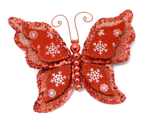 MOTYL ŚNIEŻYCA CZERWONY