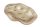POT OVAL WAVY BROWN 29
