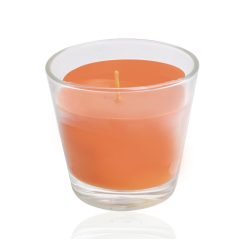 DUFTSTÄBCHEN TROP.MANGO+GLAS30Ó9