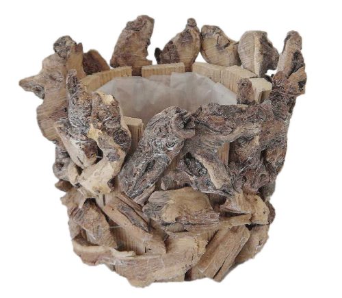 DRZEWO KORZENIOWE SP"V" NATURALNE 23*19