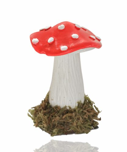 P.GRZYB+MCHY PIR. CZAPKA 6,2