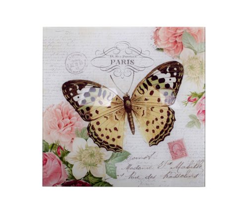 OBRAZ MOTYL           30*30