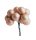 KULA KD PICK JAGODA * 144BA.MA1,5