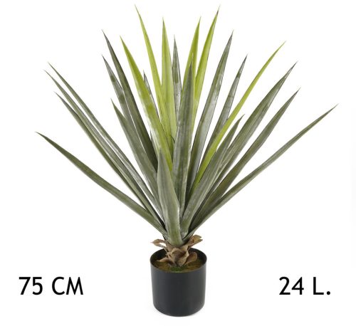 YUKKA ZIELONA 24LIŚCIE 75CM