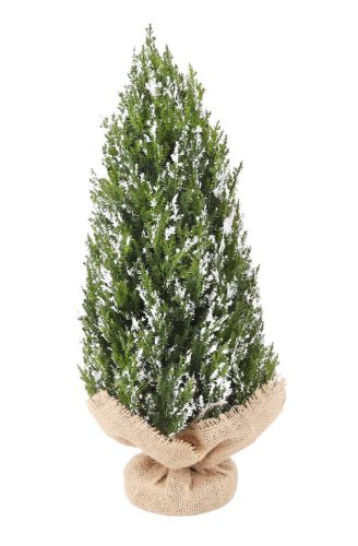 GAŁĄZKA TUJI + TORBA BIAŁA + SZYBKA 43CM