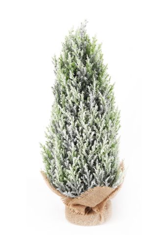 GAŁĄZKA TUJI + TORBA SZRONU 43CM
