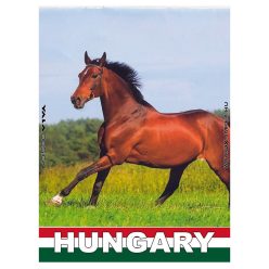HM.METAL "HUNGARIAN HORSE" 9*6,5