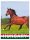HM.METAL "HUNGARIAN HORSE" 9*6,5