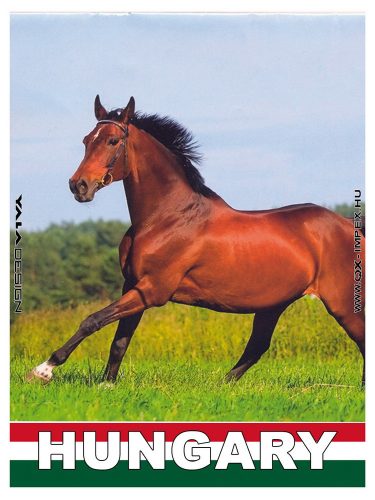 HM.METAL "HUNGARIAN HORSE" 9*6,5