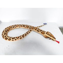 Wąż BRĄZOWY           180CM